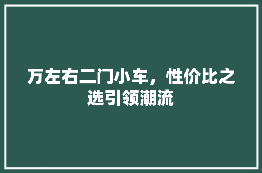 万左右二门小车，性价比之选引领潮流