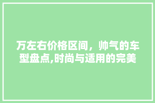 万左右价格区间，帅气的车型盘点,时尚与适用的完美结合
