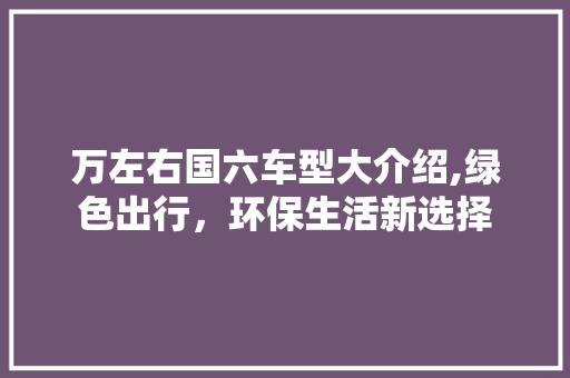万左右国六车型大介绍,绿色出行，环保生活新选择