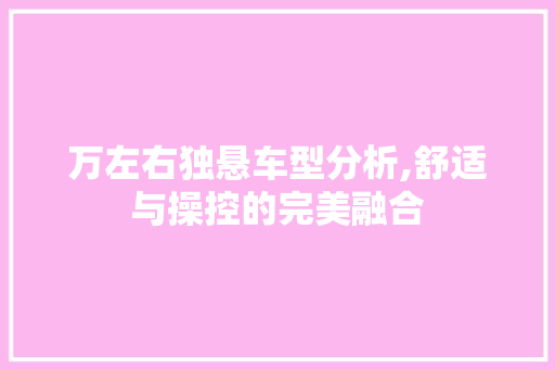 万左右独悬车型分析,舒适与操控的完美融合