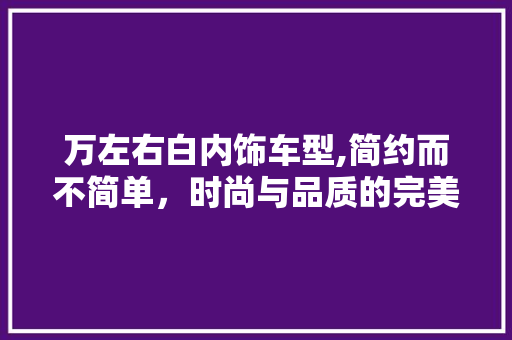 万左右白内饰车型,简约而不简单，时尚与品质的完美结合