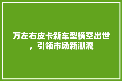 万左右皮卡新车型横空出世，引领市场新潮流