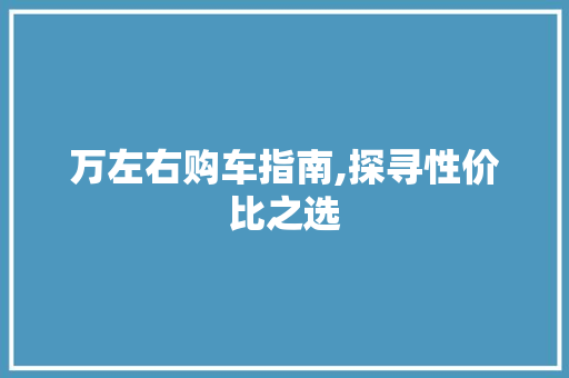 万左右购车指南,探寻性价比之选