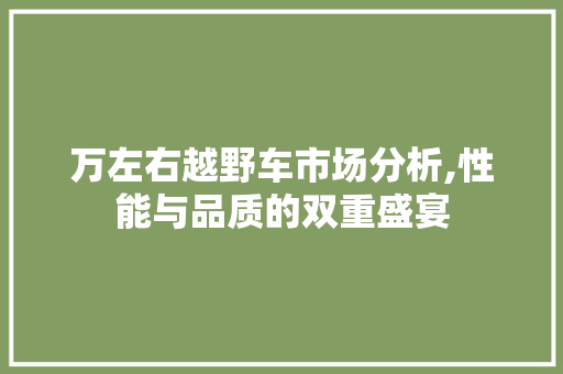 万左右越野车市场分析,性能与品质的双重盛宴