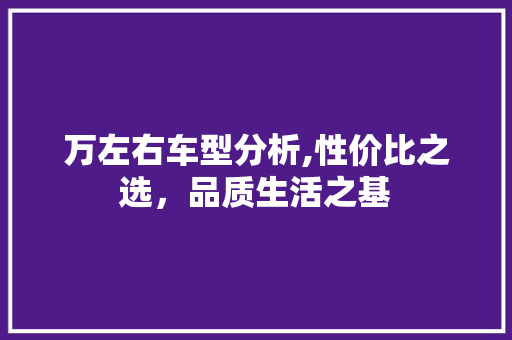 万左右车型分析,性价比之选，品质生活之基