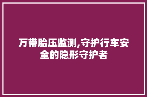 万带胎压监测,守护行车安全的隐形守护者