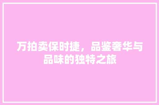 万拍卖保时捷，品鉴奢华与品味的独特之旅