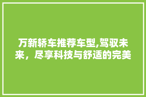 万新轿车推荐车型,驾驭未来，尽享科技与舒适的完美融合