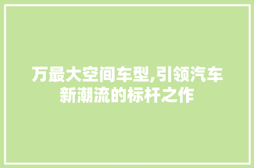 万最大空间车型,引领汽车新潮流的标杆之作