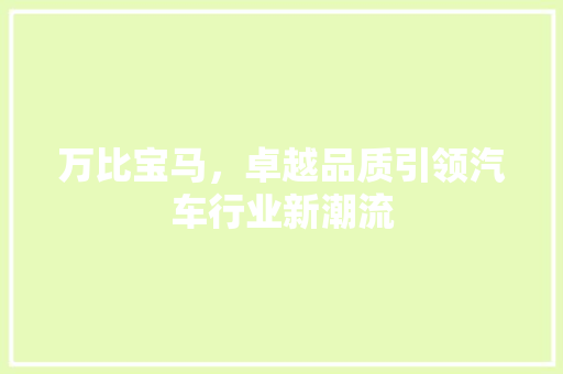 万比宝马，卓越品质引领汽车行业新潮流