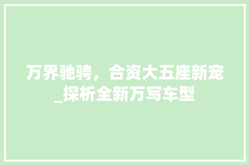 万界驰骋，合资大五座新宠_探析全新万写车型