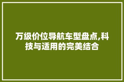 万级价位导航车型盘点,科技与适用的完美结合