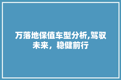 万落地保值车型分析,驾驭未来，稳健前行