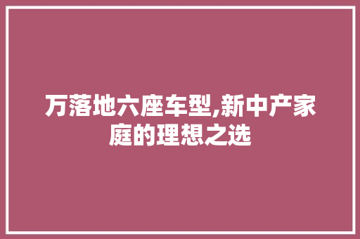 万落地六座车型,新中产家庭的理想之选