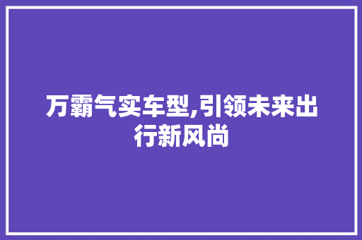 万霸气实车型,引领未来出行新风尚