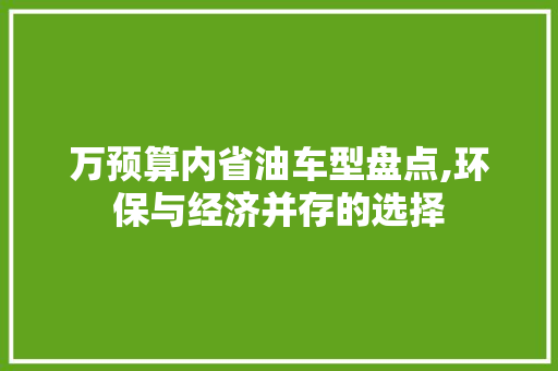 万预算内省油车型盘点,环保与经济并存的选择