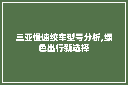 三亚慢速绞车型号分析,绿色出行新选择