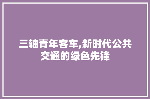 三轴青年客车,新时代公共交通的绿色先锋
