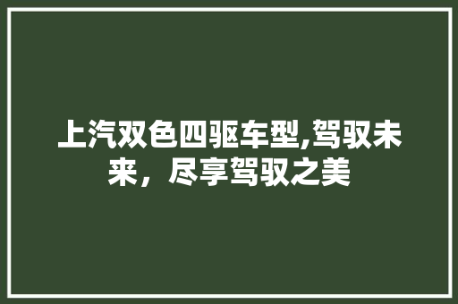 上汽双色四驱车型,驾驭未来，尽享驾驭之美