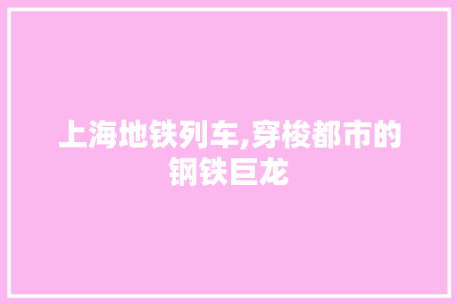 上海地铁列车,穿梭都市的钢铁巨龙
