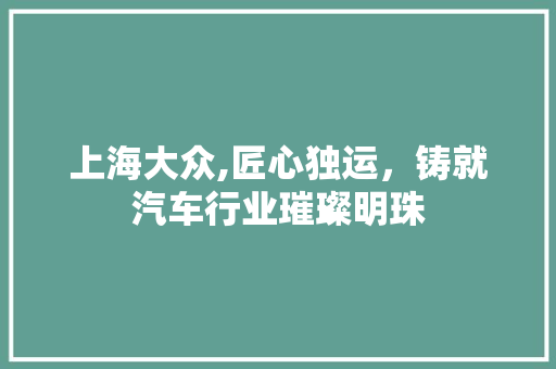 上海大众,匠心独运，铸就汽车行业璀璨明珠