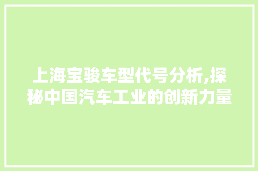 上海宝骏车型代号分析,探秘中国汽车工业的创新力量