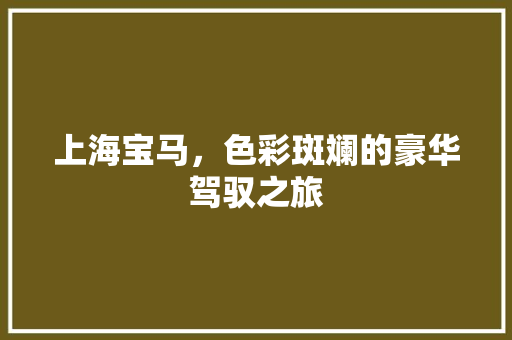 上海宝马，色彩斑斓的豪华驾驭之旅