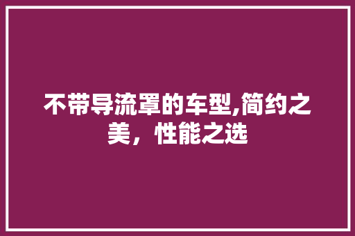不带导流罩的车型,简约之美，性能之选