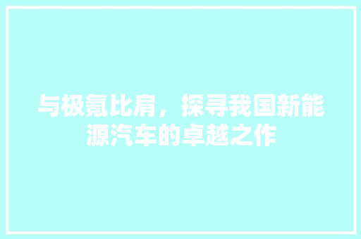 与极氪比肩，探寻我国新能源汽车的卓越之作