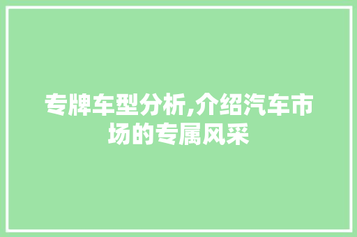 专牌车型分析,介绍汽车市场的专属风采