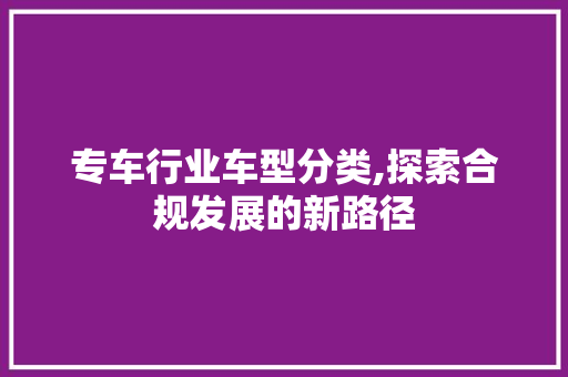 专车行业车型分类,探索合规发展的新路径