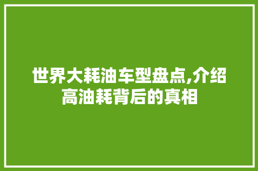 世界大耗油车型盘点,介绍高油耗背后的真相