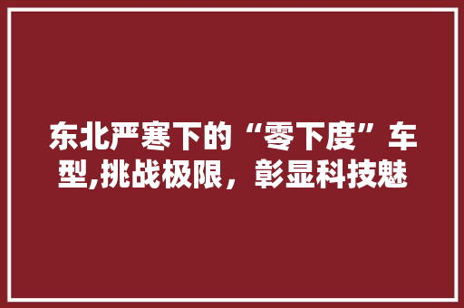 东北严寒下的“零下度”车型,挑战极限，彰显科技魅力