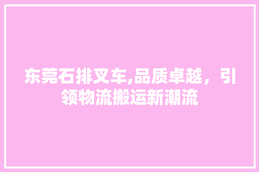 东莞石排叉车,品质卓越，引领物流搬运新潮流