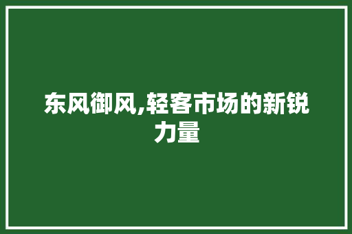 东风御风,轻客市场的新锐力量