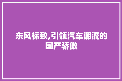 东风标致,引领汽车潮流的国产骄傲