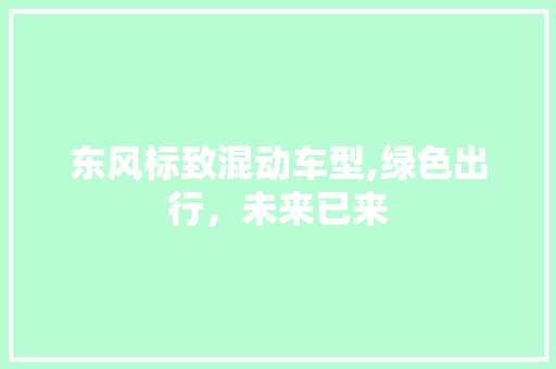 东风标致混动车型,绿色出行，未来已来