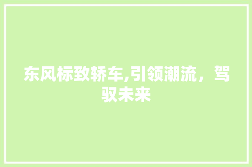 东风标致轿车,引领潮流，驾驭未来