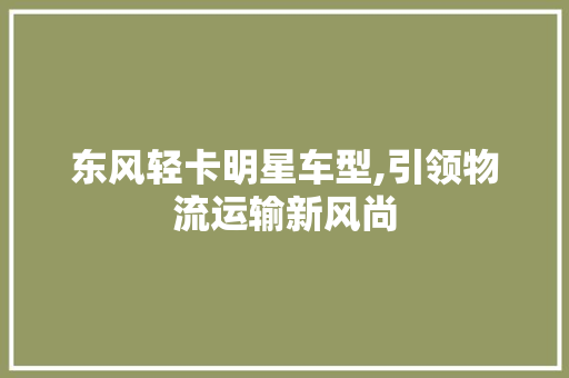 东风轻卡明星车型,引领物流运输新风尚