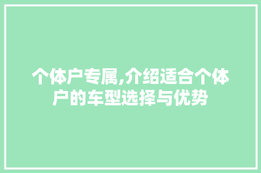个体户专属,介绍适合个体户的车型选择与优势