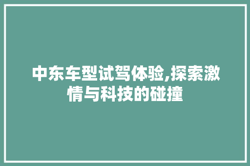 中东车型试驾体验,探索激情与科技的碰撞