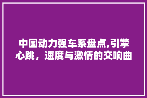 中国动力强车系盘点,引擎心跳，速度与激情的交响曲