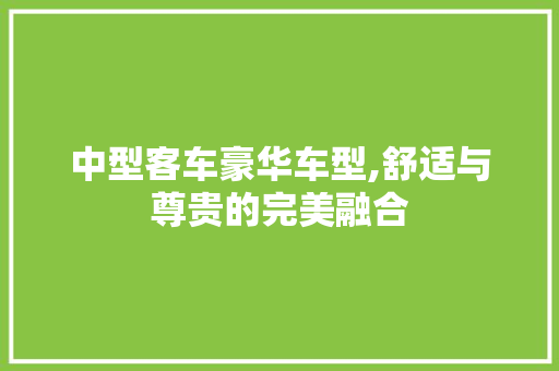 中型客车豪华车型,舒适与尊贵的完美融合