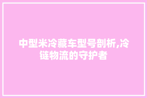 中型米冷藏车型号剖析,冷链物流的守护者