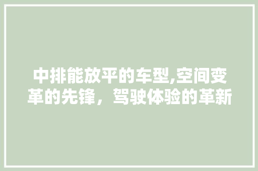 中排能放平的车型,空间变革的先锋，驾驶体验的革新者