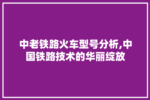 中老铁路火车型号分析,中国铁路技术的华丽绽放