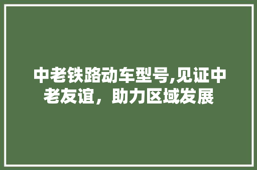 中老铁路动车型号,见证中老友谊，助力区域发展