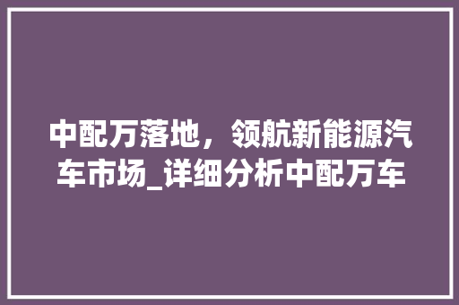 中配万落地，领航新能源汽车市场_详细分析中配万车型的卓越表现