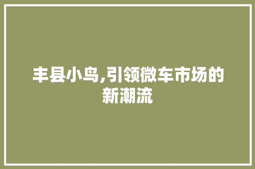 丰县小鸟,引领微车市场的新潮流