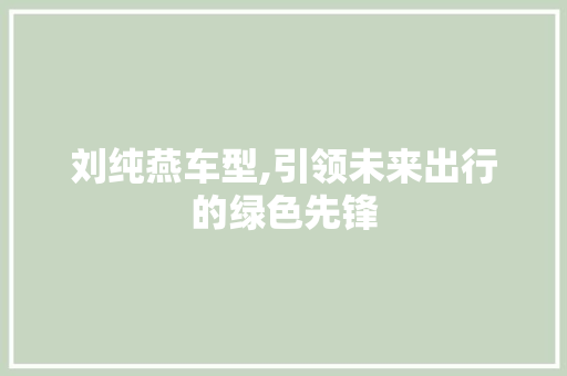刘纯燕车型,引领未来出行的绿色先锋